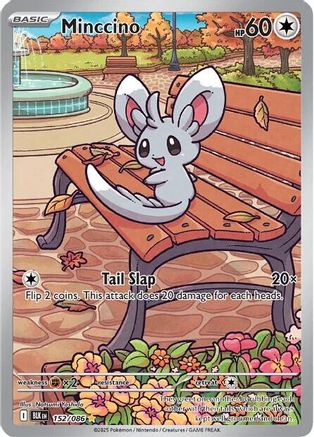 Minccino 157/086 - Holofoil SV Black Bolt - Illustration Rare